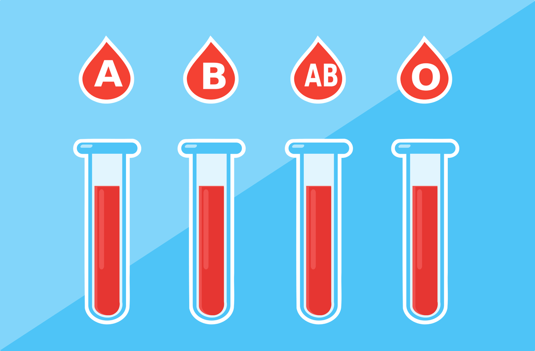 هناك 4 فصائل دم A، B، AB، O